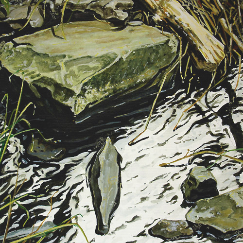 016-Steine-im-Wasser-2005-22.5x22.5cm