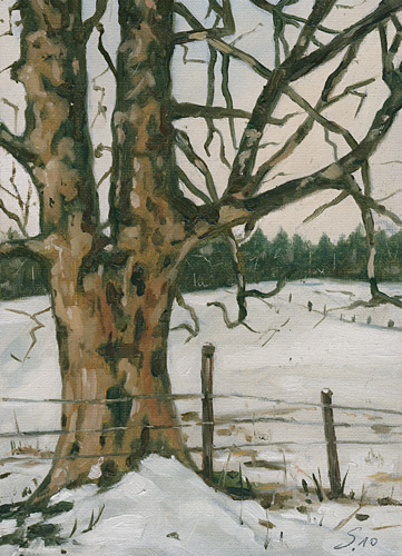 024-Baum-im-Winter-2010-Oel-Lw-Holz-18x13cm